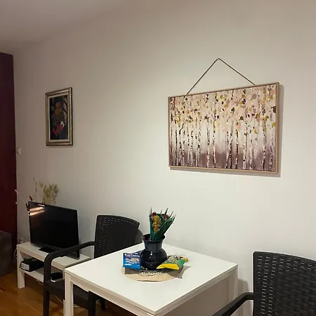 Apartment Oaza *